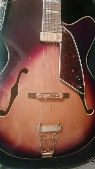 Guitarra Eléctrica Hollow Vintage Modelo Sultán