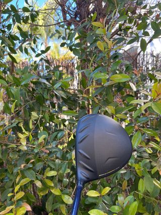 Ping G430 LST Tour Driver