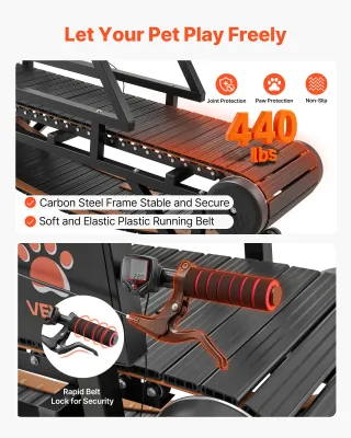 Tapis Roulant per Cani di Taglia Media, Capacità d