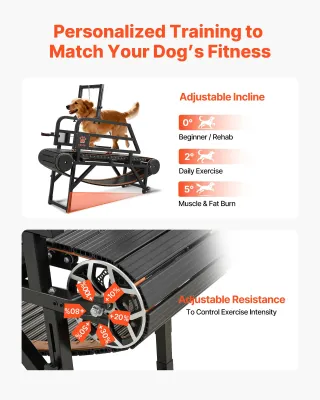 Tapis Roulant per Cani di Taglia Media, Capacità d