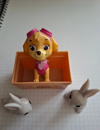 Skye Paw Patrol