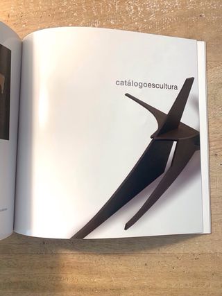 ROJAS escultura vs. pintura