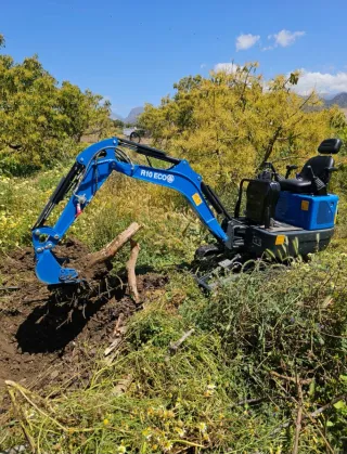 Mini excavadora 1 tonelada