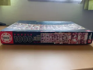 Puzzle Educa Panorama 1000 Piezas