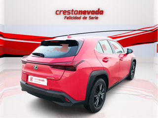 Lexus UX 2022¡¡Desde 491€ al mes!!