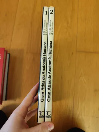 Lote 4 Libros Medicina Anatomía