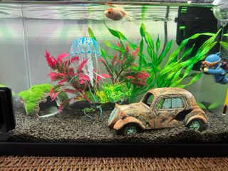Pecera decorada con accesorios