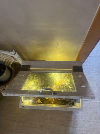 Invernadero Antiguo Decoración Coleccionista.