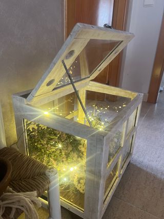 Invernadero Antiguo Decoración Coleccionista.