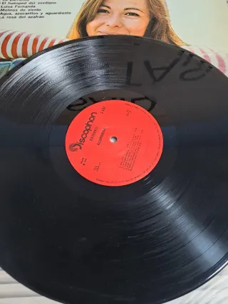 Disco Vinilo Zarzuelas Ma. Jesus y su acordeón