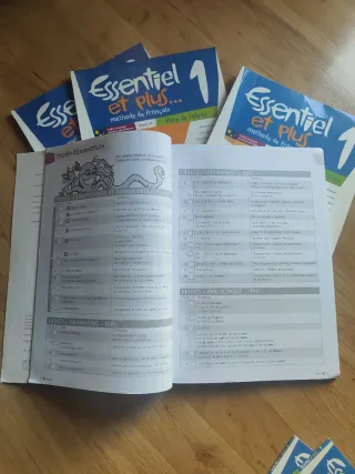 ESSENTIEL ET PLUS 1 LIVRE ELEVE