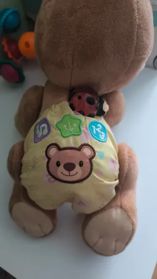 Peluche Oso Gateador Educativo