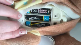 Peluche Oso Gateador Educativo