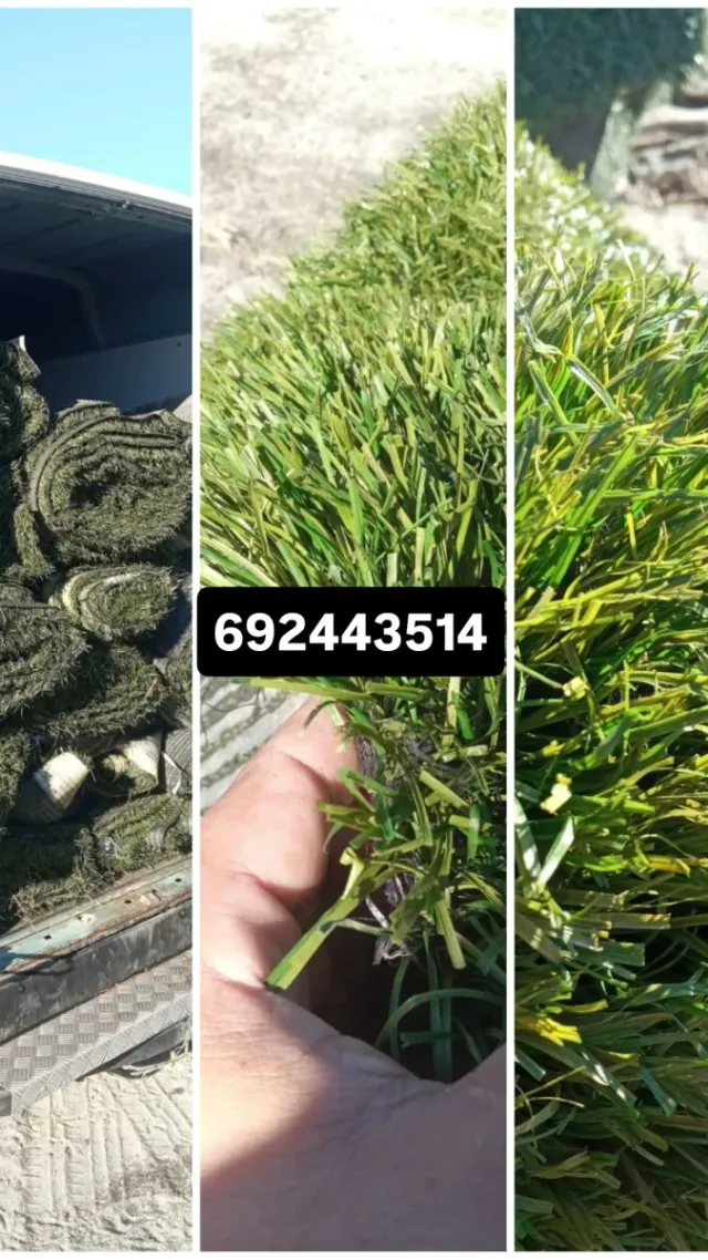 Césped artificial en rollos