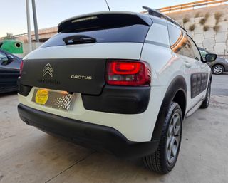 Citroën C4 Cactus BlueHDi 100 Shine
