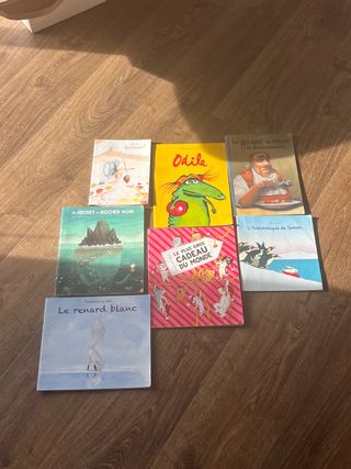 Lote de 7 libros infantiles en francés