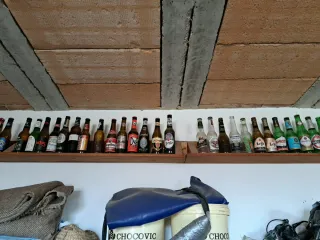 Collezione di 245 bottiglie di birra