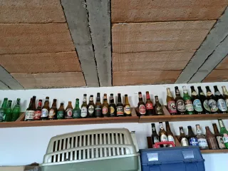 Collezione di 245 bottiglie di birra