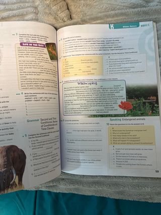 Options Eso 4 Wb Spa (sin Coleccion)