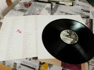 Vinilo Luz Casal - V (Edición Original 1989).