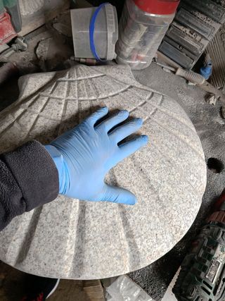 Concha de vieira grande