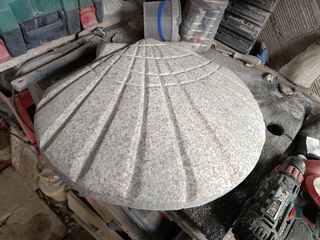 Concha de vieira grande