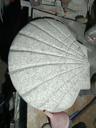 Concha de vieira grande