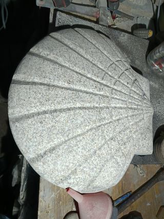 Concha de vieira grande