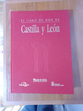 El libro de oro de castilla y leon