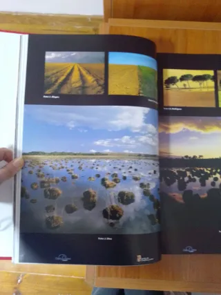 El libro de oro de castilla y leon