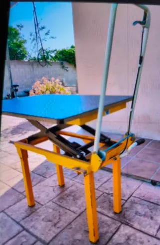 Mesa Peluquería Canina Hidráulica