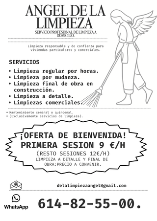 Limpieza profesional Promoción Primer Servicio 9€