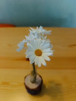 Estación de propagación/jarrón