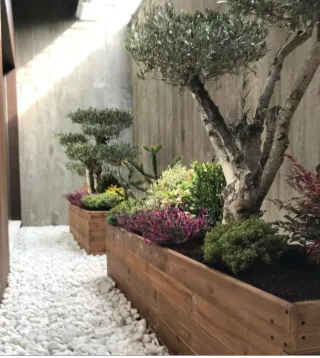 Limpieza de terrenos y cuidados de jardín.