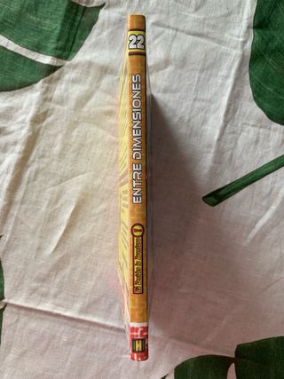 Entre dimensiones (Tú decides la aventura) (Spa...