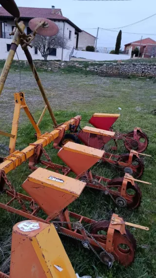 Sembradora de girasol