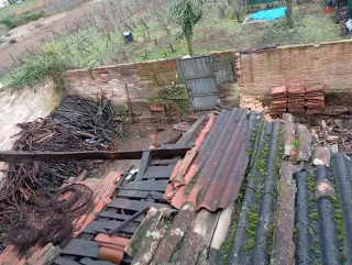 Limpieza y vaciado de fincas