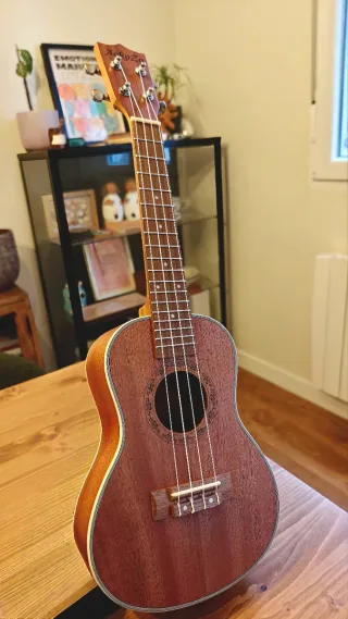 Ukelele Aokozo con funda.