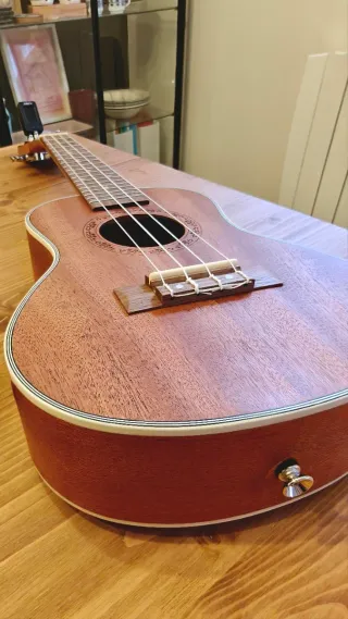 Ukelele Aokozo con funda.