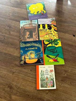 Lote 6 Libros Infantiles en Francés