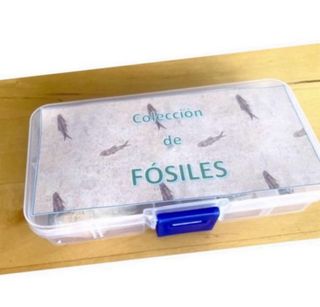 FOSILES Seleccionados Colección Explicada I