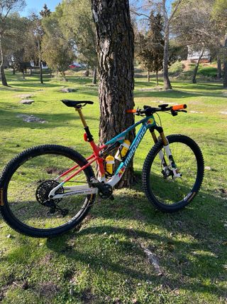 Megamo Track Buff Talla M (2023)