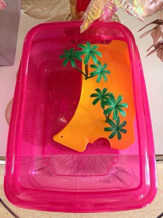 Tortuguera grande con accesorios