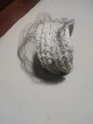 Tocado Rosario Eslava color marfil con velo negro