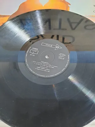 Disco Vinilo Segovia Granada