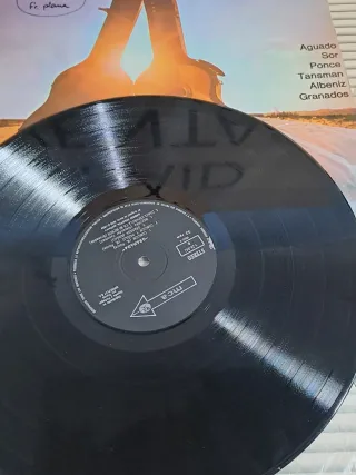 Disco Vinilo Segovia Granada