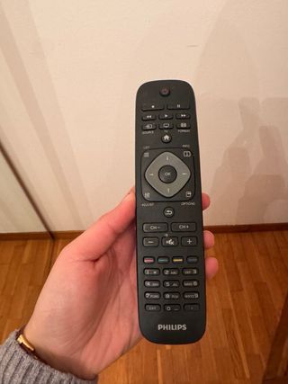 Monitor Philips, non fa da tv solo da schermo