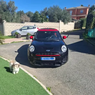 MINI Mini 2019