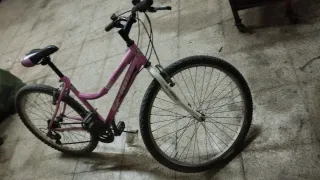 Bicicleta rosa niña/mujer