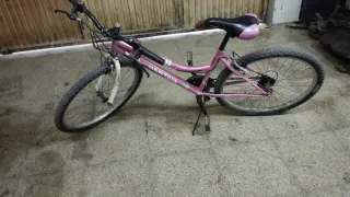 Bicicleta rosa niña/mujer